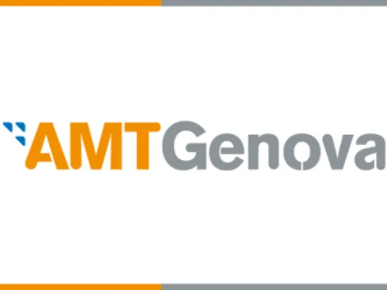 logo amt